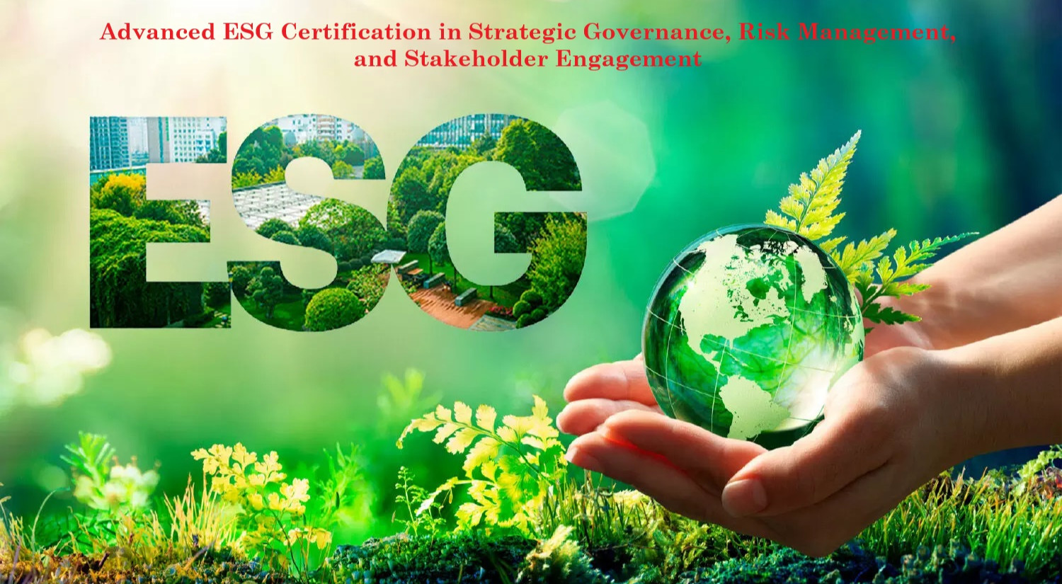 Advanced ESG Certification in Strategic Governance, Risk Management, and Stakeholder Engagement