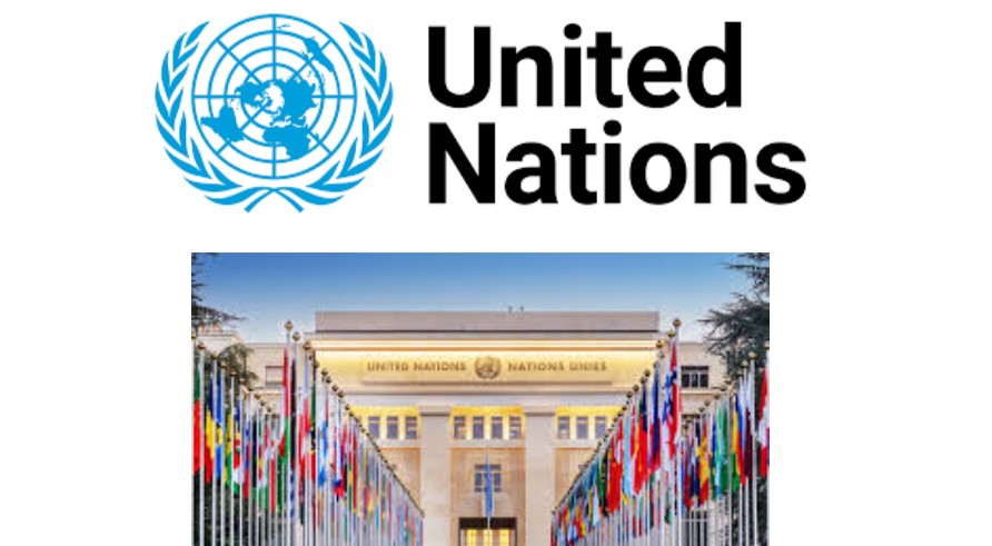 UN Agencies M&E Requirements Training Course 