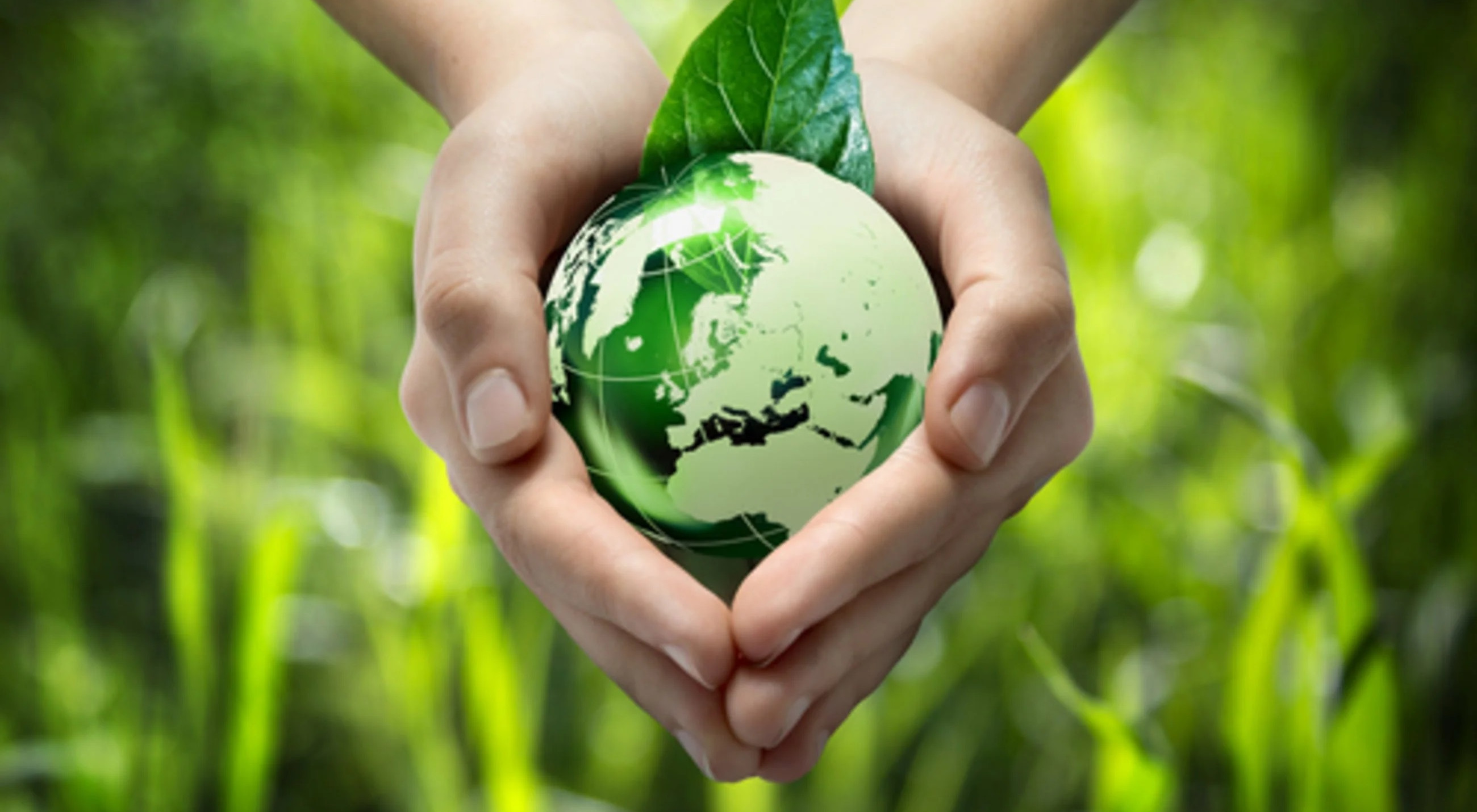 Environmental Impact Assessment & Audit with Data Analysis Certification Course