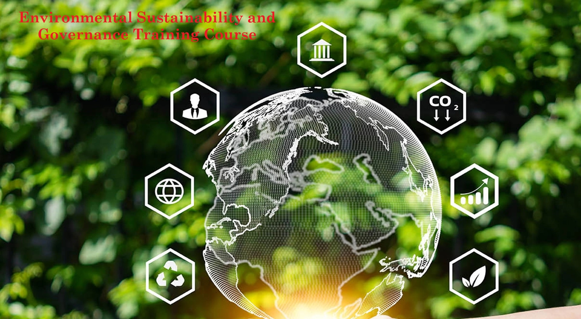Environmental Sustainability and Governance Training Course