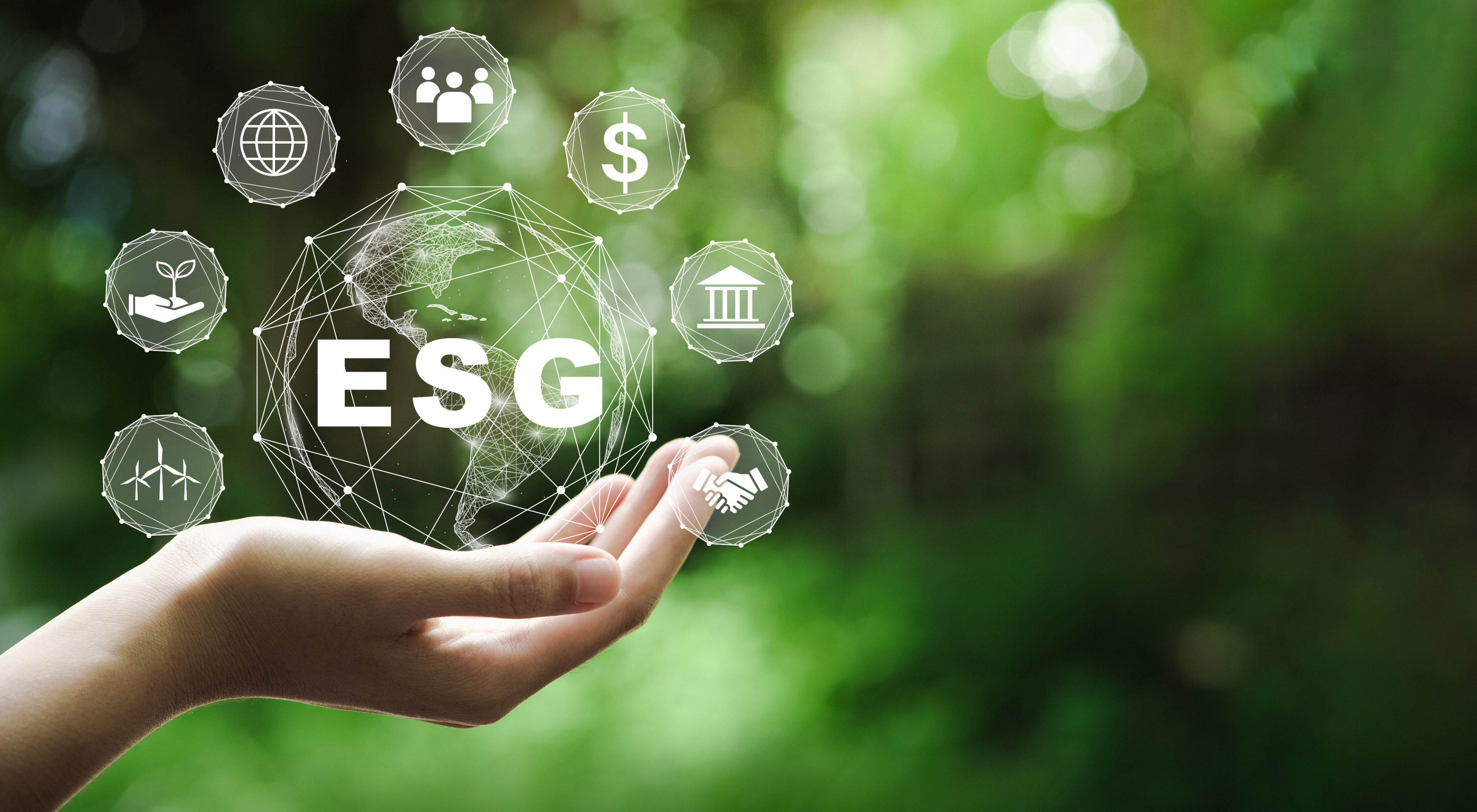 ESG Risk Management & Stakeholder Engagement for Strategic Sustainability Training Course