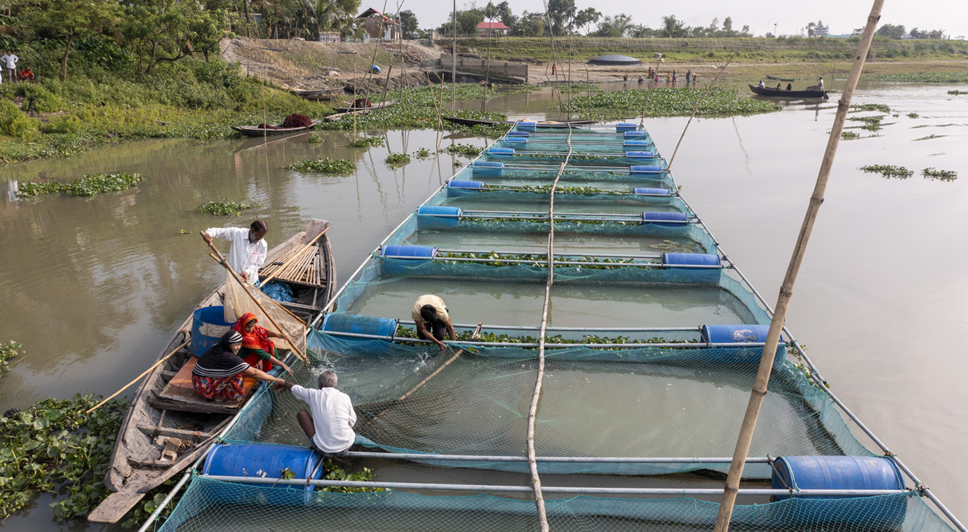 Training Course on Advanced Aquaculture Techniques in Fish Farming and Health Management