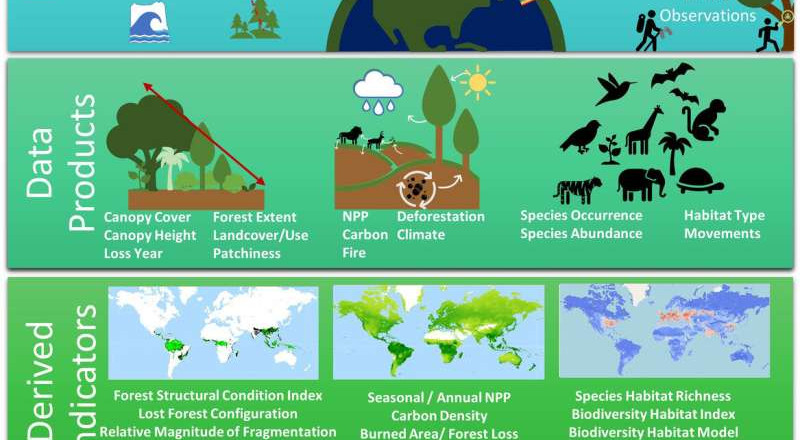 Training Course on Biodiversity Impact Assessment for Ecologists