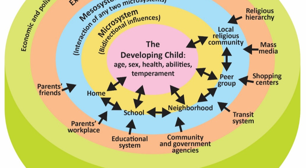 Training Course on Child Psychology and Adolescent Development for School Counselors