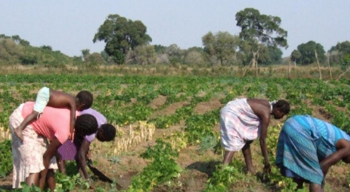 Training Course on Community-Based Approaches to Food Security