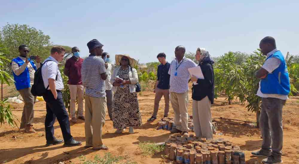 Training Course on Management of Refugees and Displaced Populations 