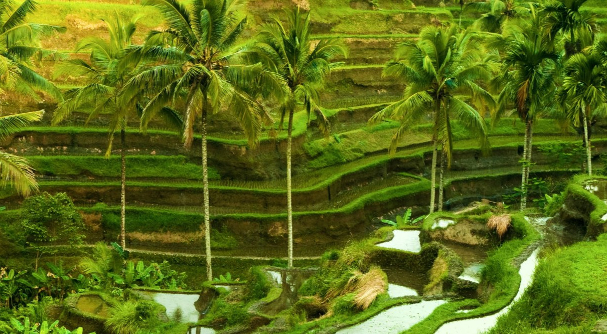 Training Course on Social Change in Rural Communities and Sustainable Rural Development